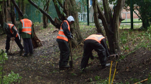 How Many Extensions Can You Get for Community Service