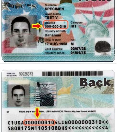 Find A-Number on Green Card