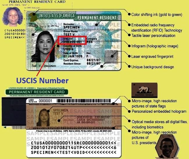 USCIS Number on Green Card