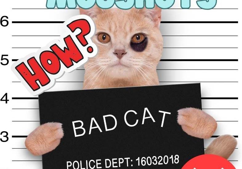 How to Remove Mugshots