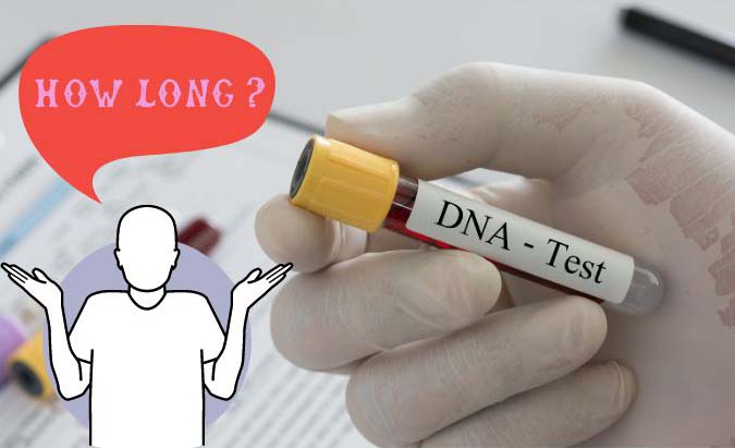 How Long DNA Test Result