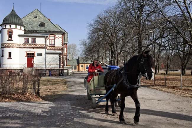 prisoner in bastoy with horse keeping