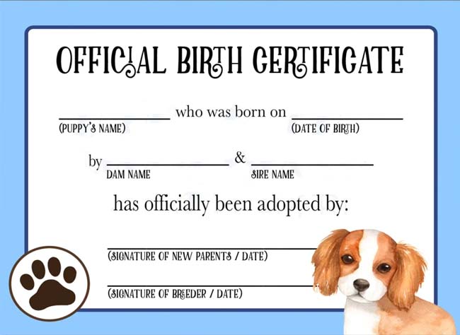 How to Get Birth Certificates for Dogs