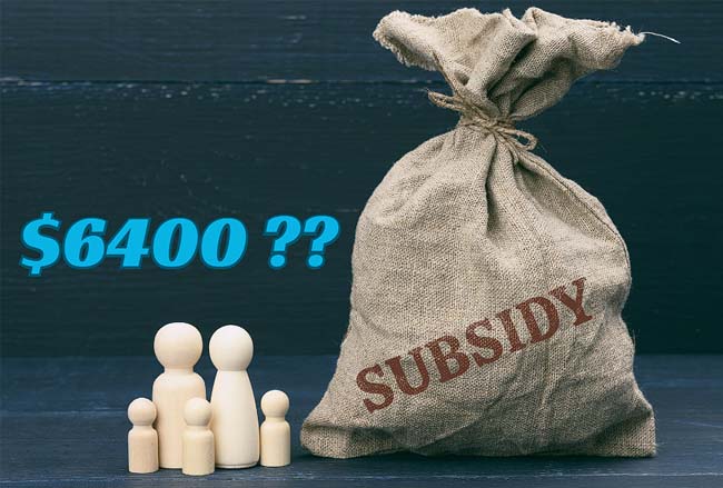 Is the $6400 Subsidy Legit for Individuals?
